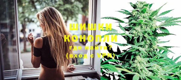 ГАЛЛЮЦИНОГЕННЫЕ ГРИБЫ Карталы